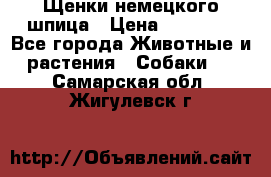 Щенки немецкого шпица › Цена ­ 20 000 - Все города Животные и растения » Собаки   . Самарская обл.,Жигулевск г.